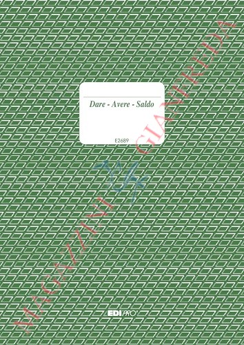 REGISTRO DARE - AVERE - SALDO , 96 PAGINE E2689